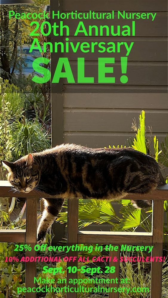 Sale starting this Wednesday at Peacock Horticultural Nursery in Sebastopol, CA.


#plantsalesebastopol #sebastopolnursery #peacockhorticulturalnursery #cactusandsucculents