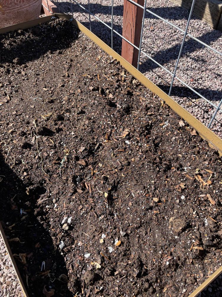 Image of a rectangular raised bed filled with new dirt and possibilities 
