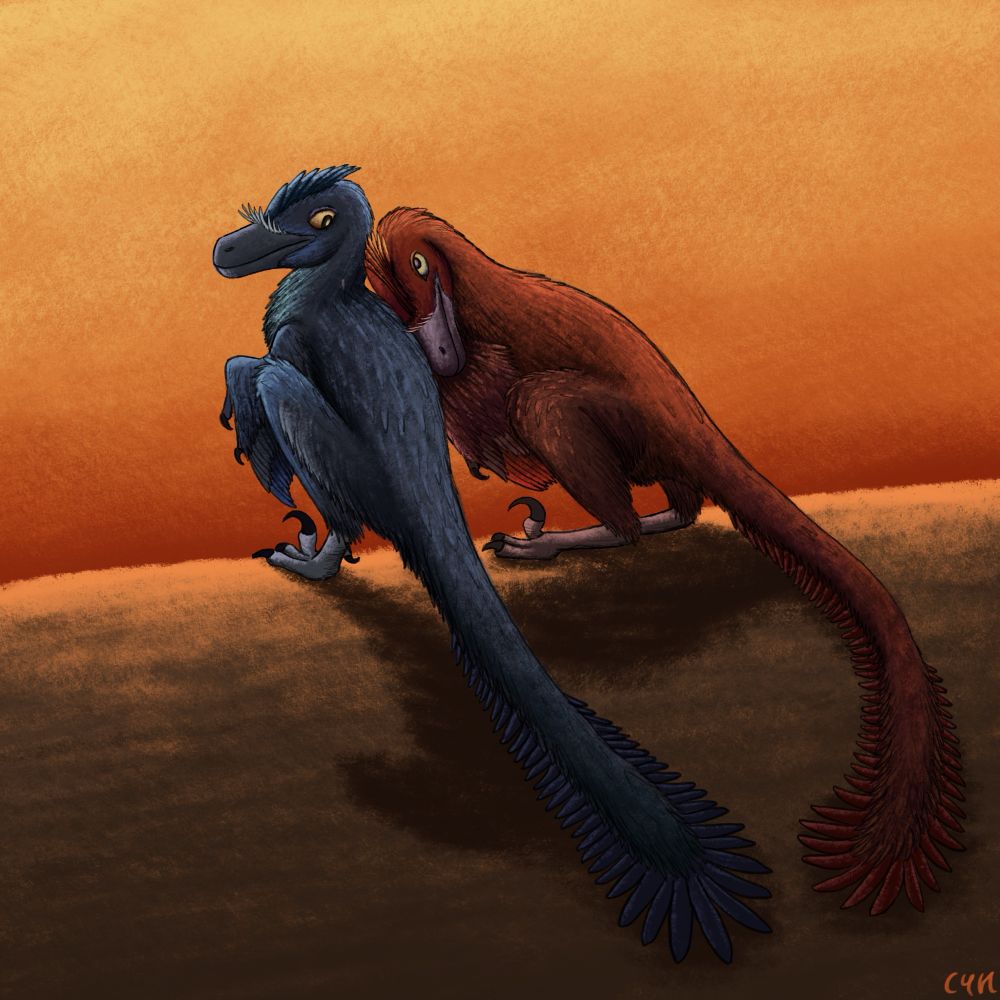 A pair of Velociraptors sitting on a sand dune, under a firey orange sky. One of them has orange feathers, and is laying its head on its mate's back, which has blue feathers.