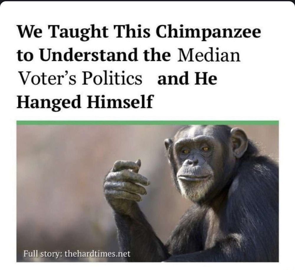Satire article title "We Taught This Chimpanzee to Understand the Median Voter's Politics and He Hanged Himself" with a picture of a chimp