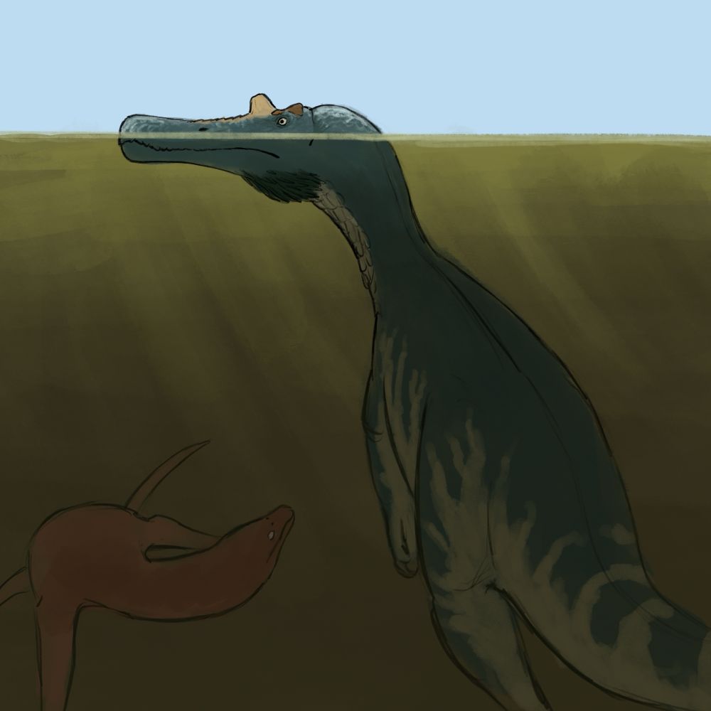 Baryonyx submerged in water with only its head on the surface, a Leptocleidus observes from below.