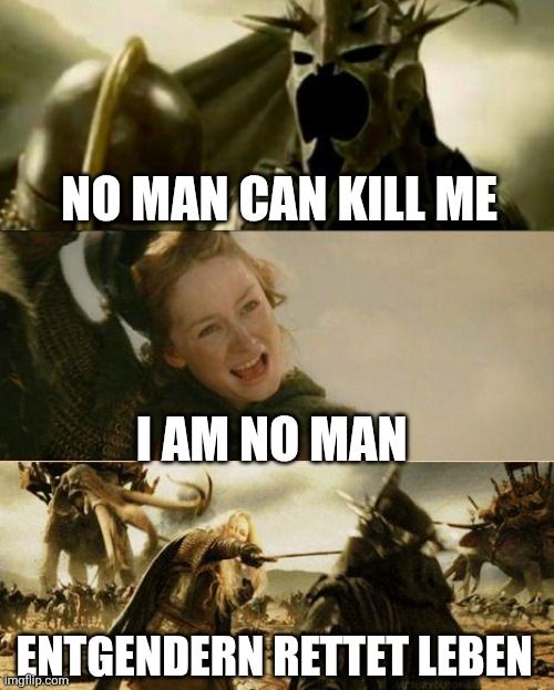 Die Szene mit dem Hexenkönig von angmar und eowyn

Hexenkönig: No man can kill me
Eowyn nimmt den helm ab: I am no man
Eowyn steckt ihm ihr Schwert in den Helm 
Entgendern rettet Leben 