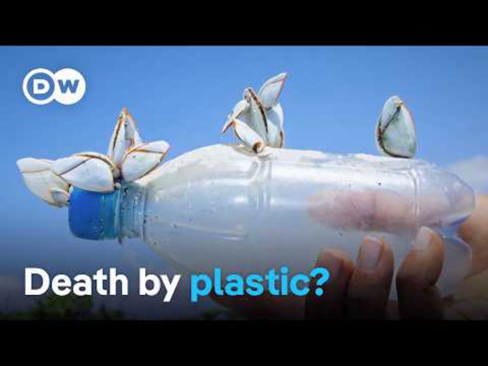 How plastic waste is poisoning the planet and what we can do about it | DW Documentary