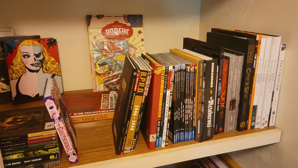 the confessional! hellboy! so much new 52 nightwing! incalverse stuff (i lent my actual copy of the incal to a friend but pretend it's there!!) and valerian and ghost in the shell and so much sergio toppi. god i love comics