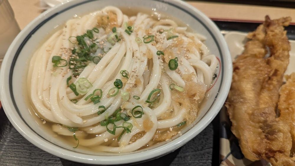 A bowl of udon
