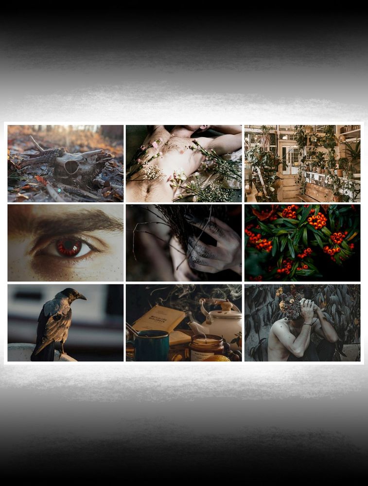 Mood board including an animal skull in the forest, a shirtless man with flowers growing over him, a rustic greenhouse, a close up of a man’s red eye, blackened fingertips of close up hands, bright red rowanberries on a rowan tree, a raven in sunlight, a teapot and crowded tabletop, and a man hiding behind flowers.