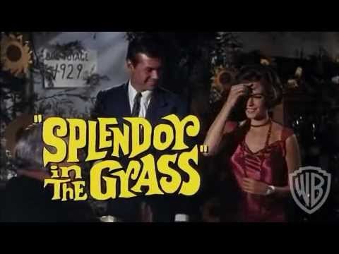 Splendor in the Grass - Trailer