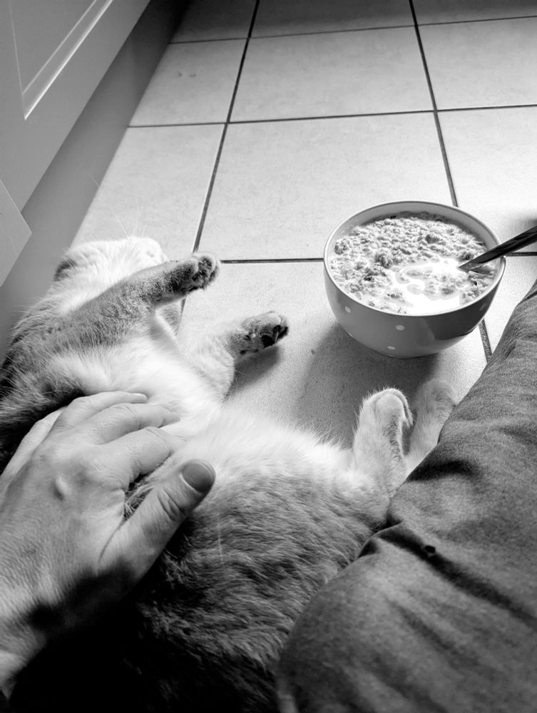 Hand plus Kater plus Müsli 