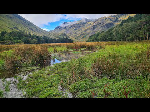Restoring Grisedale beck 2021 - 2024