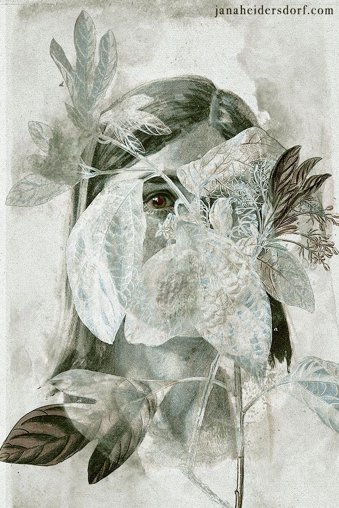 digital mixed media collage portrait blending a painted acrylic portrait of a young woman with a vintage botanical illustration. The leaves of the plant frame one eye looking at the viewer. Overall muted colours.