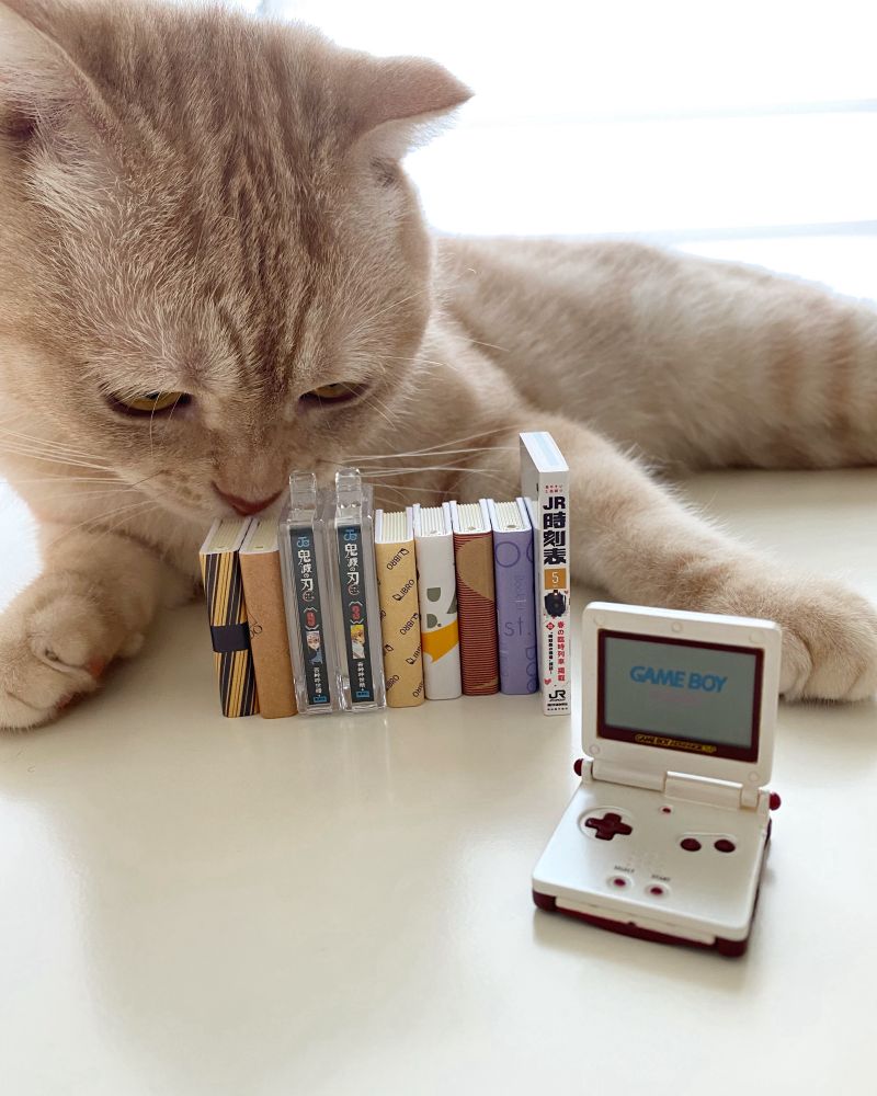 cat 猫 ねこ ネコ ぜん
ゲームボーイアドバンスSPのミニチュア