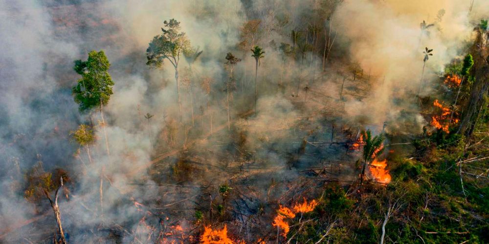 Extreme drought, climate change and criminality drive explosion of fires in Brazil - Mighty Earth