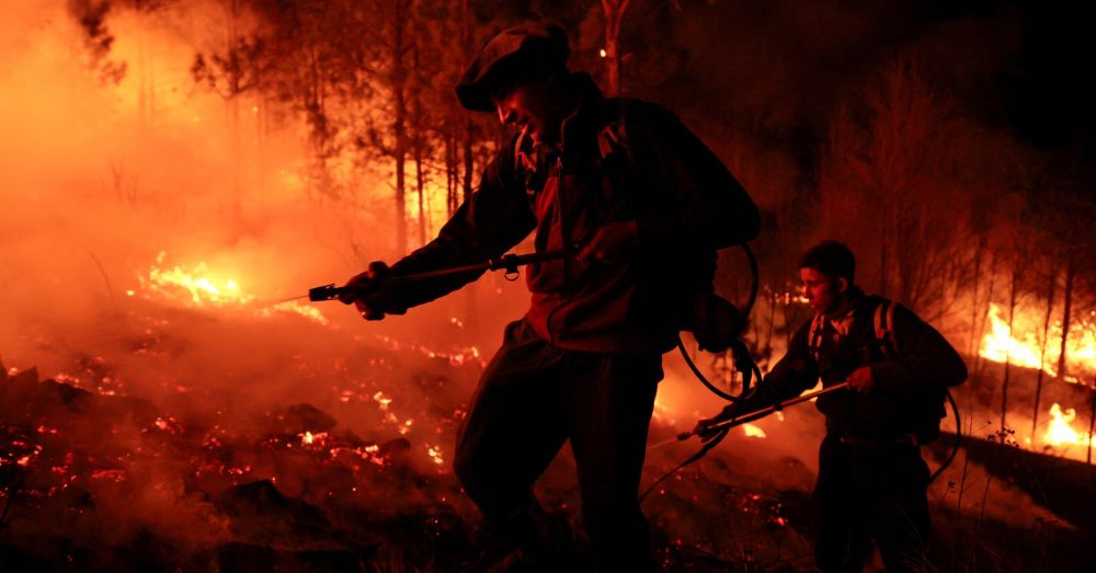 Cattle burn as ‘monster’ wildfires rage in Argentina ranchlands