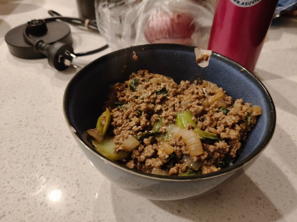 a picture of my cooking: mongolian ground beef