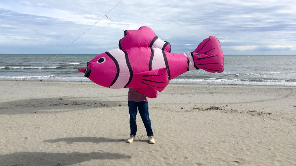 Pirates Of The Wind: Kite Festival Sprintkite Cervia 2024 - KAP Jasa - kite team Slovenia