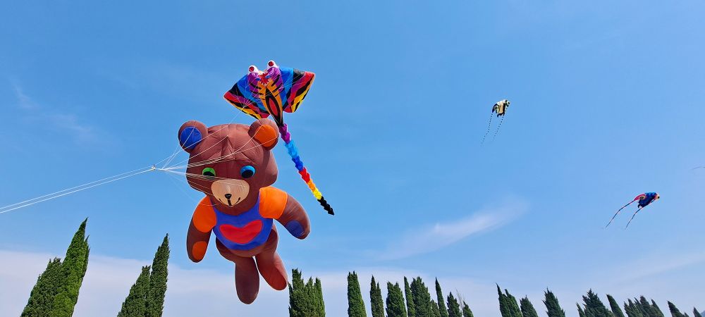 The Bears That Ate O..... - KAP Jasa - kite team Slovenia