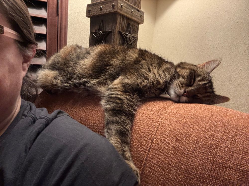 A brown tabby cat lying on her side with her eyes closed and the side of her face smooshed on the back of an orange chair in front of a standing lamp with a square pillar base with metal 5-painted stars on the sides of it (we live in Texas - this kind of decor is everywhere and fits in with our house’s aesthetic). The side of my face and shoulder are in front of the cat, sitting in the chair, the cat’s paw rating on my shoulder.