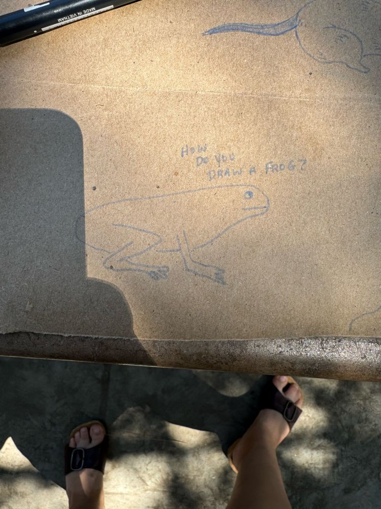 A frog drawn in market on paper tablecloth with the text “how do you draw a frog?” Written above it. The frog has a blank, serene expression.