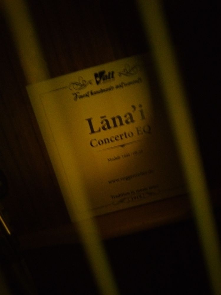 interior shot of a concert ukulele