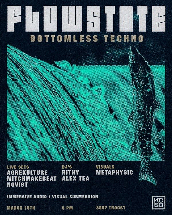 electronic music poster