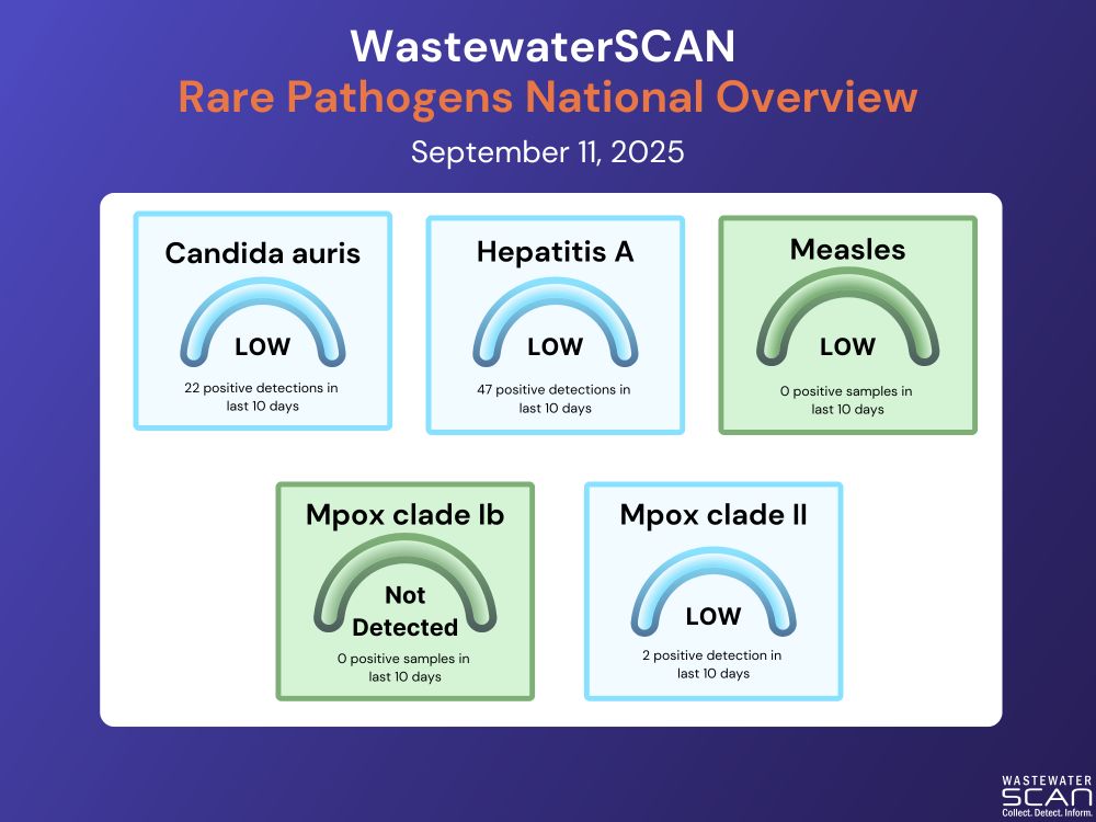 Rare pathogens overview: Dials summarizing detections for all monitored rare pathogens. There were no detections for Mpox clade Ib and measles, and a low number of detections for candida auris, hepatitis A, and Mpox clade II.