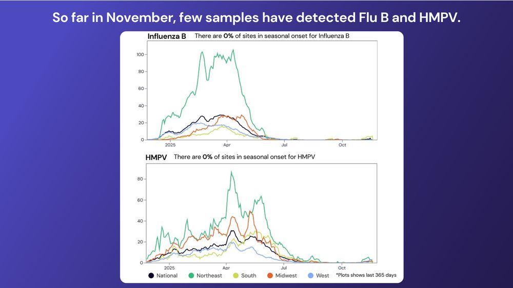Line graphs showing concentrations of two other seasonal respiratory pathogens (Influenza B and HMPV) over the past year nationally and for four regions. Both currently have concentrations near 0. 