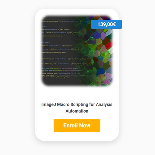 Image Analysis Automation with ImageJ Macro Scripting