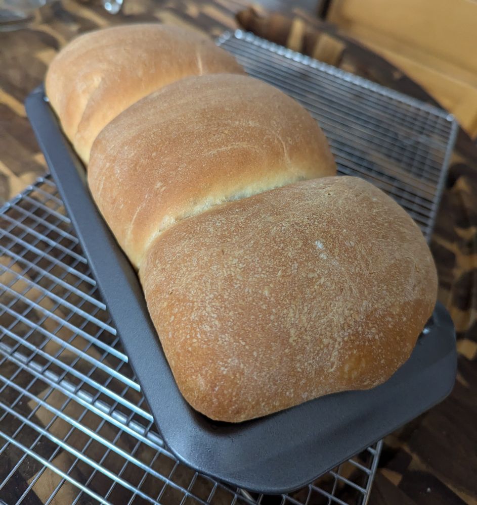 A baked loaf of three bun sandwich bread rests on a cooling rack.