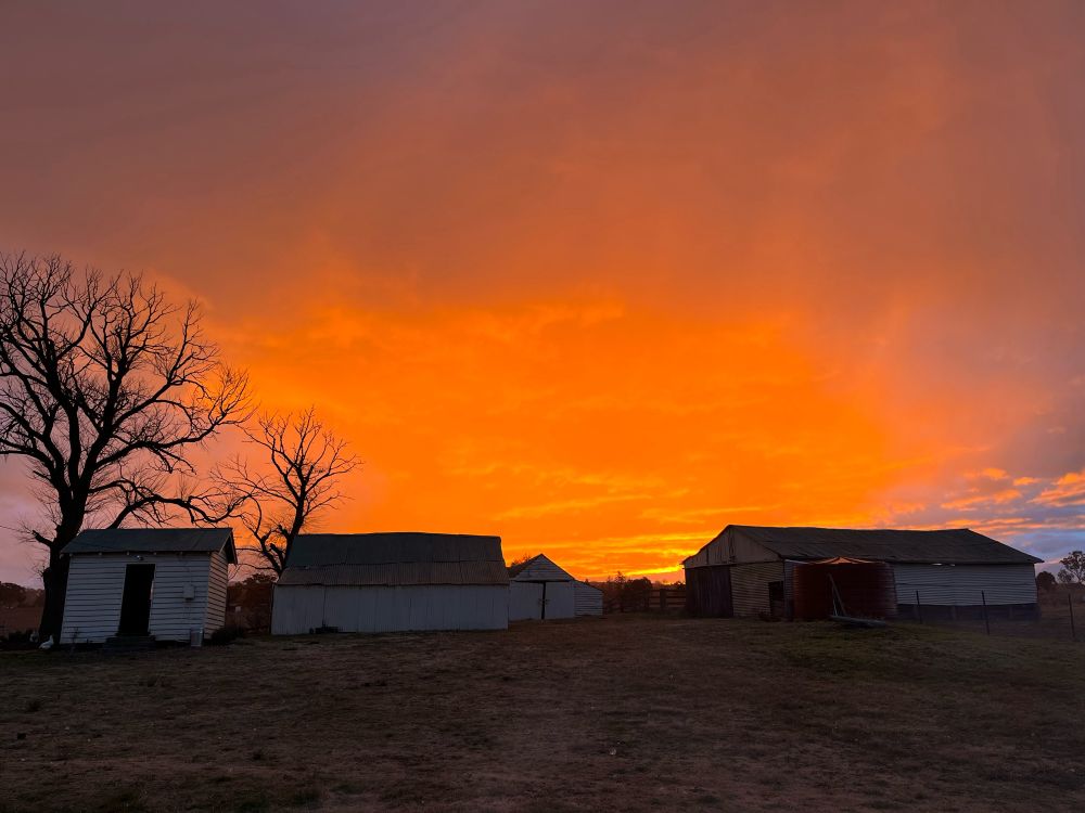 Sunset over the old sheds on the farm
