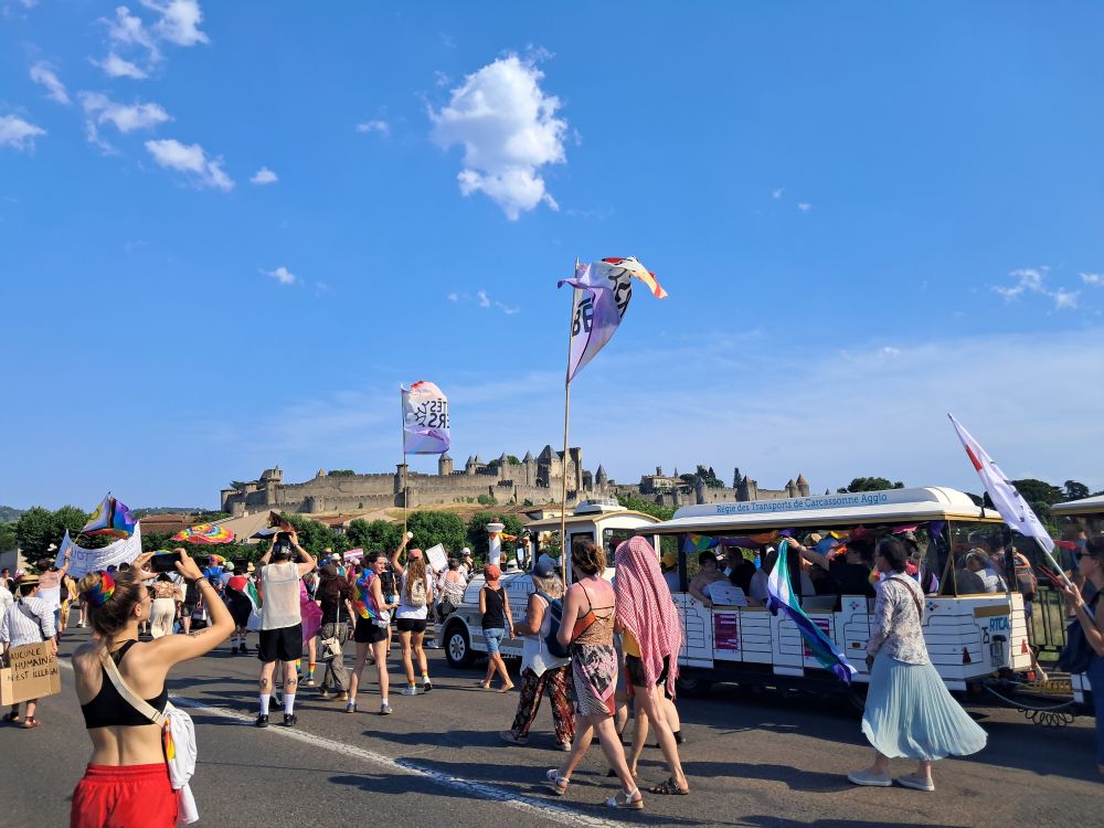 Photo de la Marche avec le petit train et la Cité de Carcassonne à l'arrière plan.