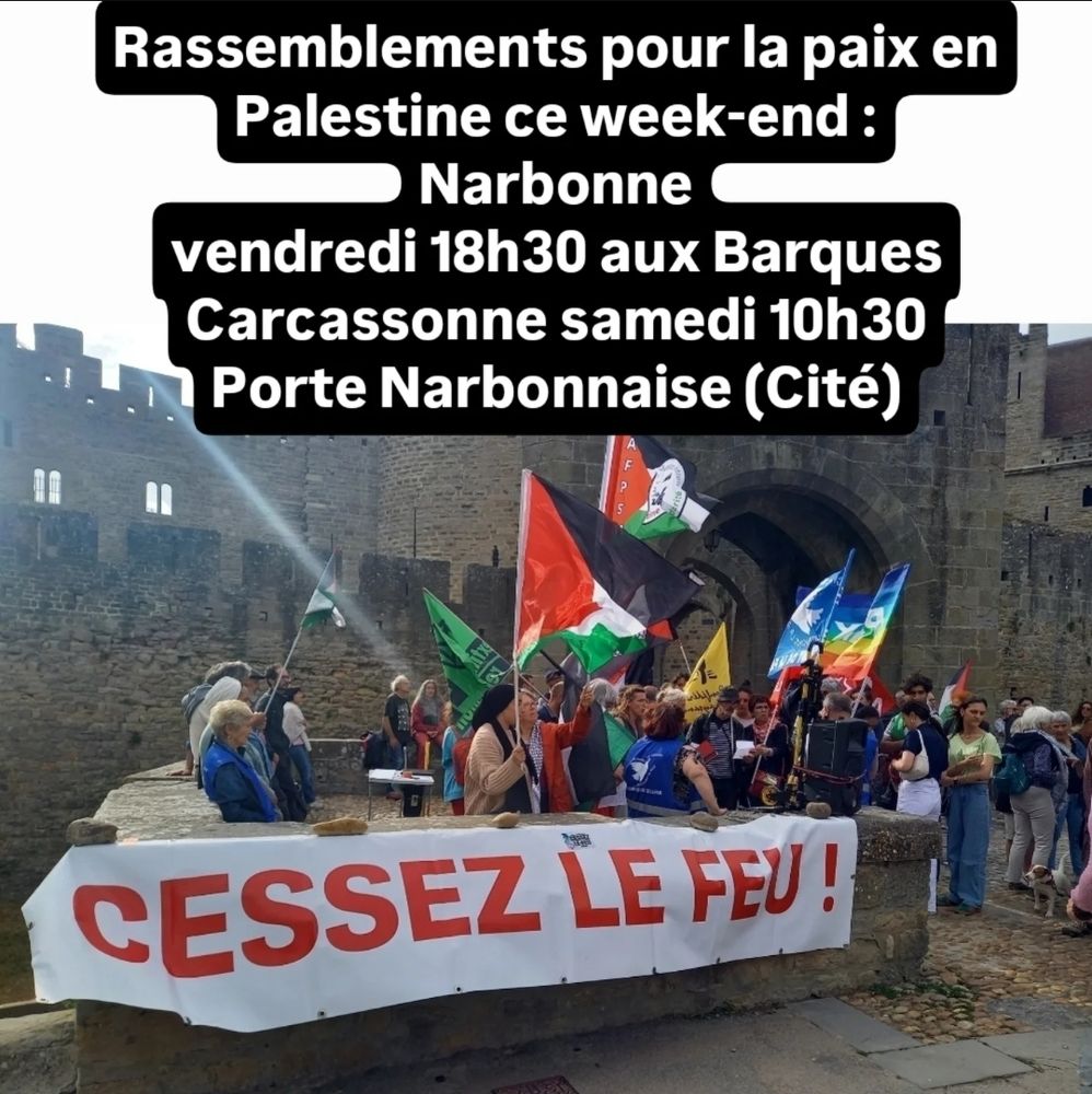 Rassemblement devant la Cité de Carcassonne avec banderole "Cessez le feu !"