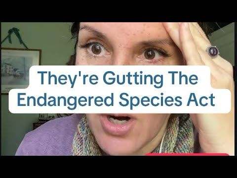 They're Gutting The Endangered Species Act: What You Need to Know