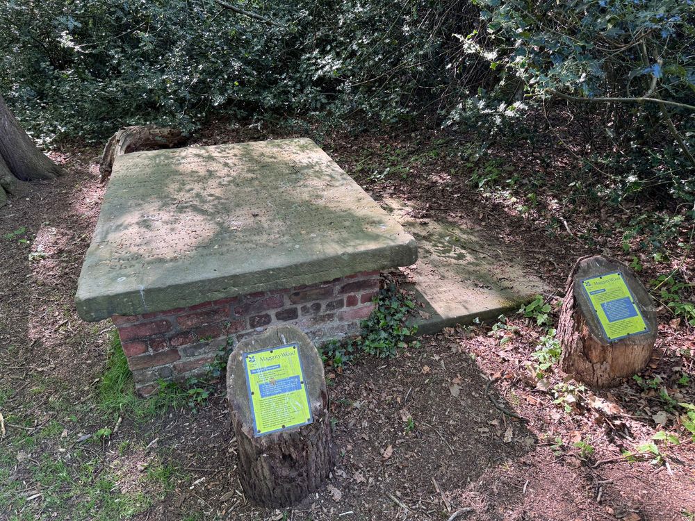 The grave of Maggoty Johnson, England’s last Jester, who died at Gawsworth New Hall on 5 May 1773 aged 82, pictured in the nearby wood that still bears his name and is reputed to be haunted by his ghost.