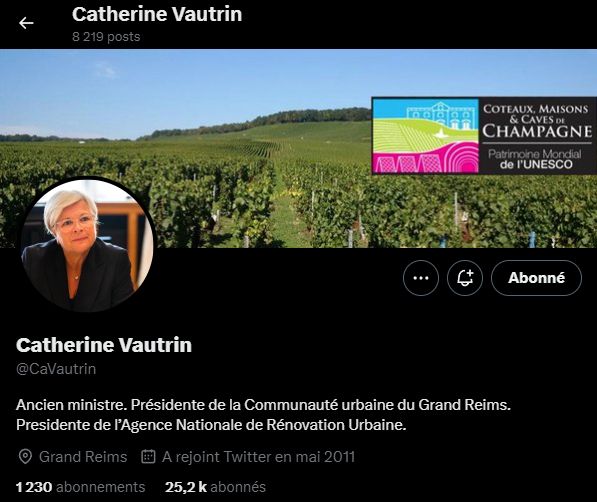 La bannière Twitter de Catherine Vautrin, ministre de la santé, montre des vignes et le logo des Coteaux, Maisons et caves de Champagne