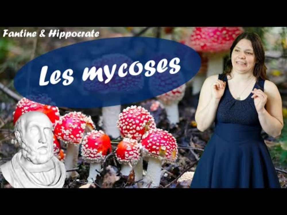🍄🍑🍆 Les mycoses - Fantine & Hippocrate #24