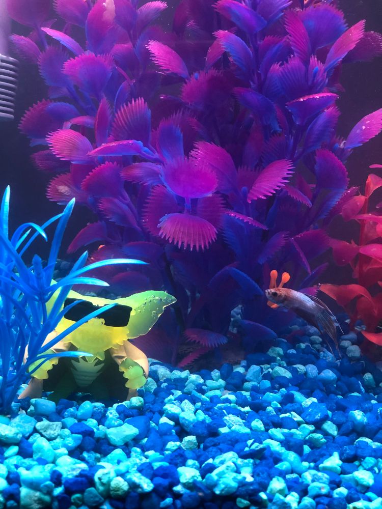 Glow in the dark flashing gremlin from Gremlins 2 tucked slightly behind a blue plastic plant. 