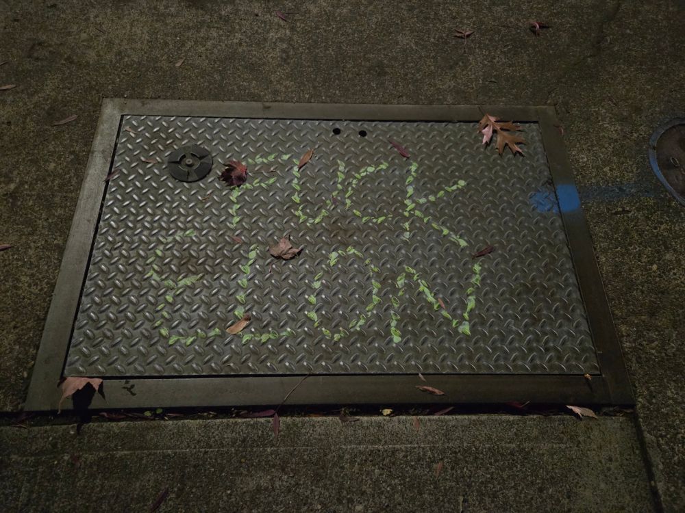 A steel plate access panel in the sidewalk with text drawn on that says "FUCK ELON" in light green. 💚