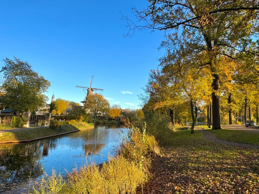 A view of the city from across a canal, with autumnal trees to the right and a windmill on the other side of the water