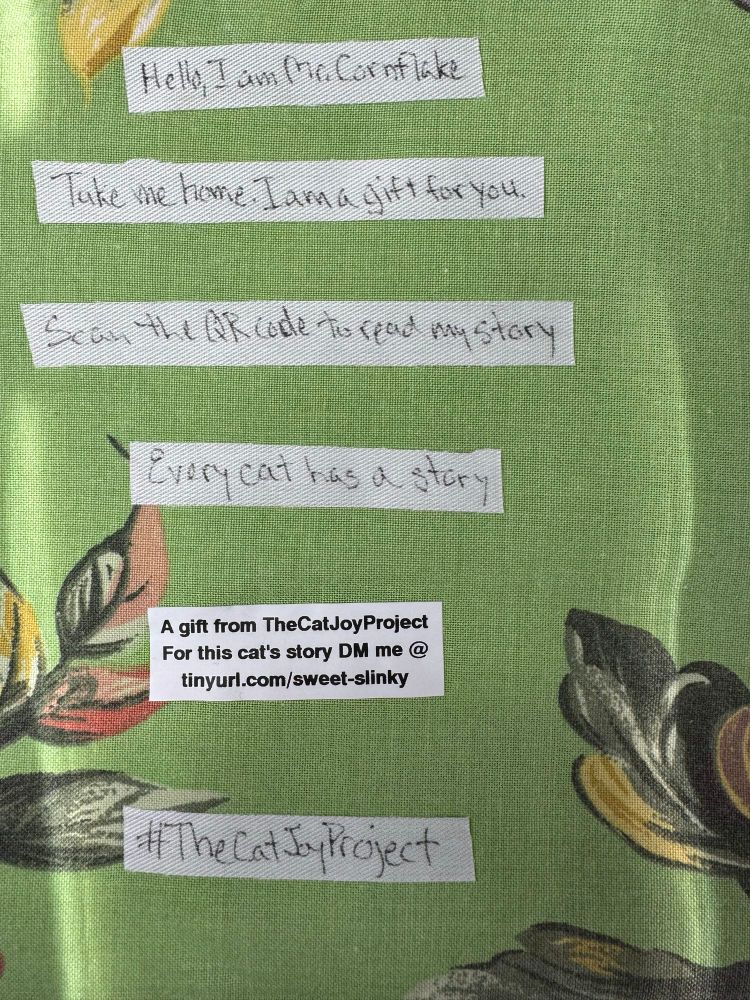 Written on back of the square: Hello, I am Mr Cornflake. Take me home, I am a gift for you. Scan the QR code to read my story. Every cat has a story. A gift from the CatJoyProject. For this cat’s story DM me at http://tinyurl.com/sweet-slinky #TheCatJoyProject 