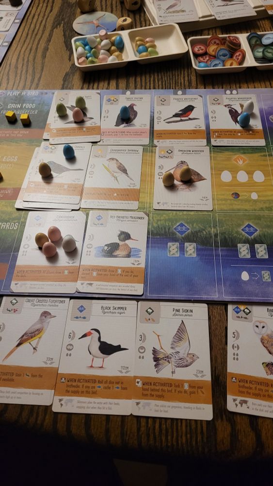 Board set up mid-play of Wingspan with cards of various birds and tiny eggs sitting on top of them.