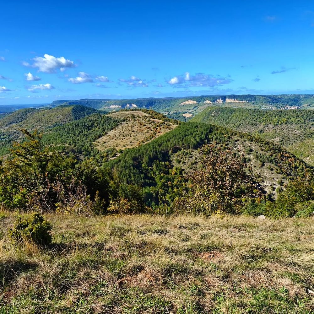 Sur le Plateau de Guilhaumard