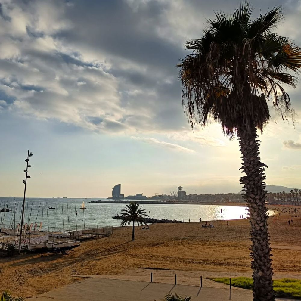 Barcelone, entre Montjuïc et les plages 