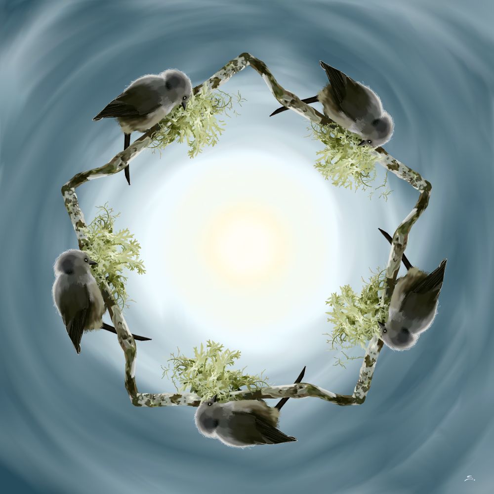 A pentagon made of a continuous bent twig lined with lichen. There is rotational symmetry and about halfway along each segment of the pentagon side, there is gathered bunch of lichen and moss with a bush tit on each one. The background goes from a pale yellow to a muted slate blue with a feeling of smeared clouds int he texture. The bushtits have silver lining.