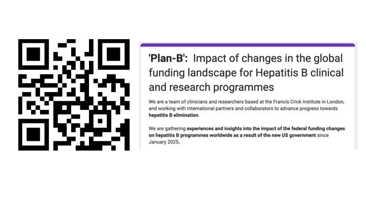 QR code and description of project to understand impact of changes in the funding landscape for Hepatitis B clinical and research programmes.