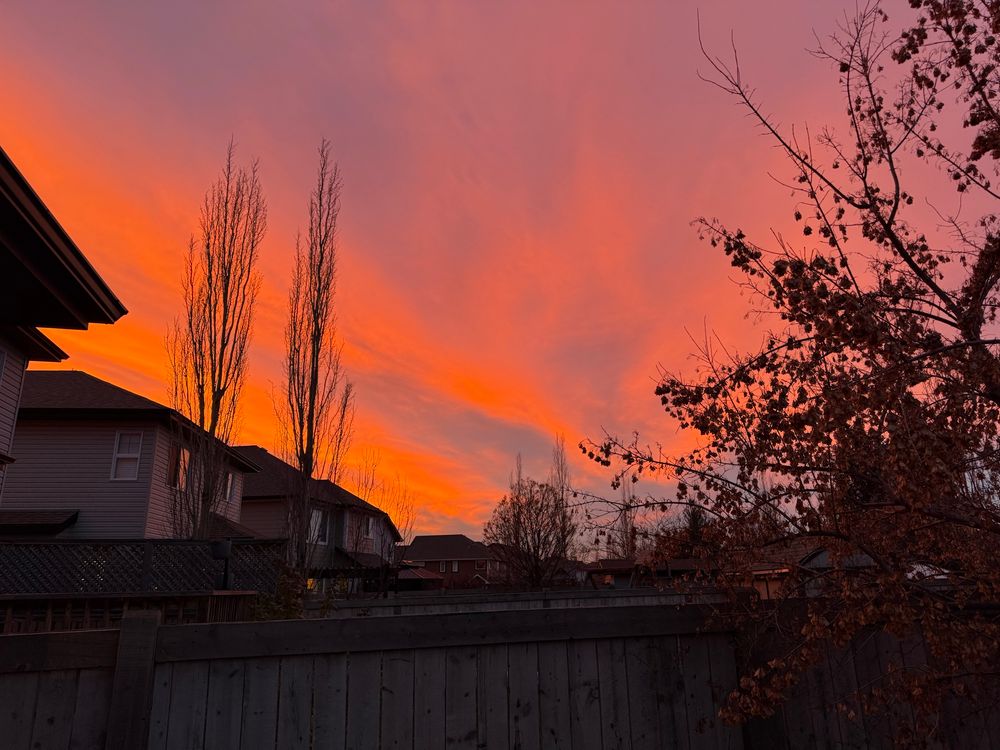 A pinky/orange sunset over some houses