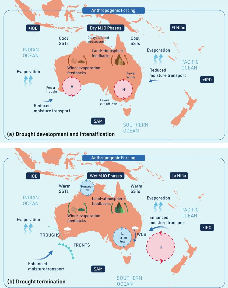 Scientific diagram summarising the causes of drought development, intensification, and termination in Australia. The graphic shows that drought development and intensification is associated with El Nino and positive IPO conditions in the Pacific Ocean, positive IOD conditions in the Indian Ocean, reduced onshore moisture transport, high pressure systems over south-eastern and south-western Australia, dry MJO phases, and wind-evaporation feedbacks - with all affected by anthropogenic forcing. Drought termination is associated with La Nina and negative IPO conditions in the Pacific Ocean, negative IOD conditions in the Indian Ocean, enhanced onshore moisture transport, cut-off low weather systems in south-eastern Australia, monsoon lows in north-western Australia, and wet MJO phases - with all affected by anthropogenic forcing. 