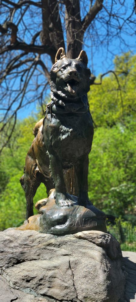 Photo of the statue of Balto the sled dog in Central Park, New York City. 
