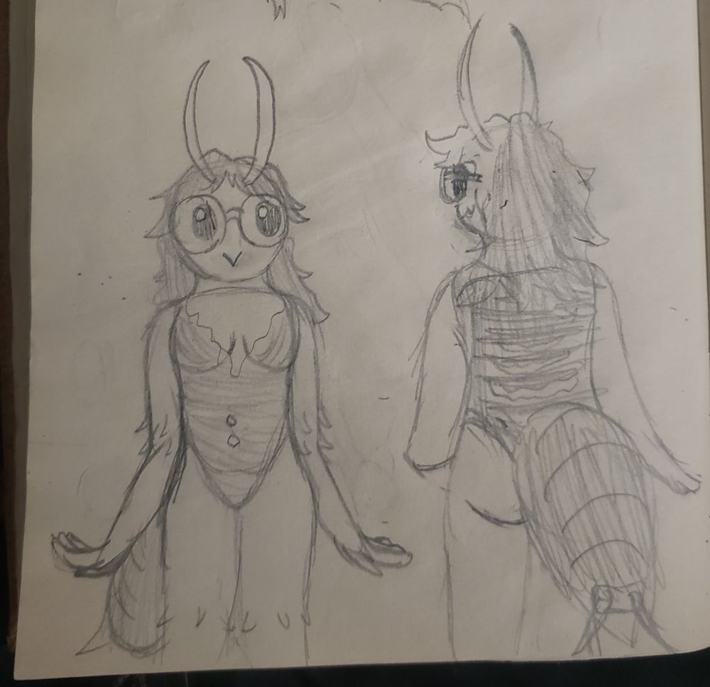 sketches of a field cricket sona for brin, front and back. unsure if the coloring is an actual one-piece or coloring reminiscent of one, at the moment.
