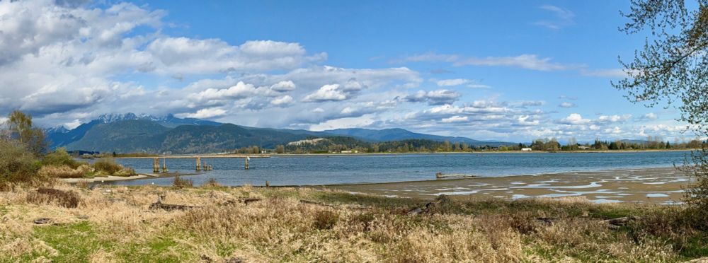 The Pitt River at low tide, seen from Port Coquitlam.