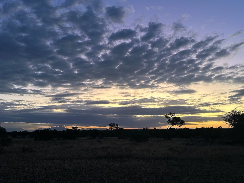 Stunning twilight sky - orange light along the horizon with the Drakensberg mountains in silhouette and a few trees. 